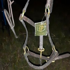 Brand new leather grow with me foal halter